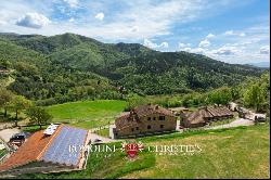 ORGANIC FARM WITH AGRITURISMO FOR SALE IN SANSEPOLCRO, TUSCANY