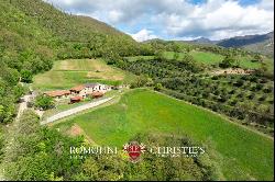 ORGANIC FARM WITH AGRITURISMO FOR SALE IN SANSEPOLCRO, TUSCANY