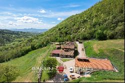 ORGANIC FARM WITH AGRITURISMO FOR SALE IN SANSEPOLCRO, TUSCANY