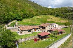 ORGANIC FARM WITH AGRITURISMO FOR SALE IN SANSEPOLCRO, TUSCANY