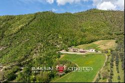 ORGANIC FARM WITH AGRITURISMO FOR SALE IN SANSEPOLCRO, TUSCANY