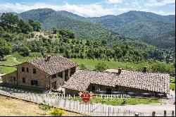 ORGANIC FARM WITH AGRITURISMO FOR SALE IN SANSEPOLCRO, TUSCANY