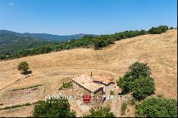 Umbria - PANORAMIC FARMHOUSE FOR SALE IN THE NESTORE VALLEY