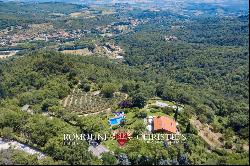 Tuscany - RESTORED VILLA WITH PANORAMIC VIEWS AND SWIMMING POOL IN FLORENCE