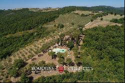 Val d'Orcia - FARMHOUSE WITH ORGANIC OLIVE GROVE FOR SALE IN TUSCANY