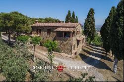 Val d'Orcia - FARMHOUSE WITH ORGANIC OLIVE GROVE FOR SALE IN TUSCANY