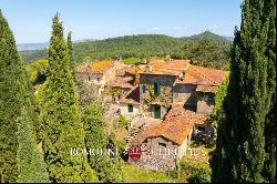 ORGANIC 180-HA WINE ESTATE FOR SALE IN AREZZO, TUSCANY