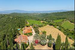 ORGANIC 180-HA WINE ESTATE FOR SALE IN AREZZO, TUSCANY