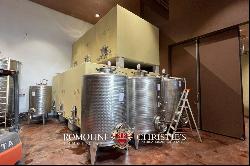 Tuscany - STUNNING 120-HA ORGANIC WINERY AND VINEYARDS FOR SALE IN VOLTERRA