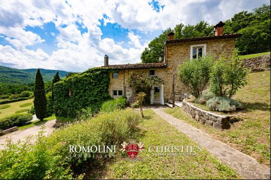 Tuscany - FARMHOUSE WITH PANORAMIC VIEWS FOR SALE IN CASENTINO