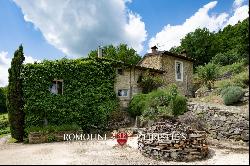 Tuscany - FARMHOUSE WITH PANORAMIC VIEWS FOR SALE IN CASENTINO