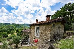 Tuscany - FARMHOUSE WITH PANORAMIC VIEWS FOR SALE IN CASENTINO