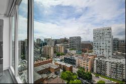 Sophisticated Soho Lisgar Rental