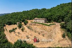 Umbria - COUNTRY HOUSE FOR SALE IN A PANORAMIC POSITION