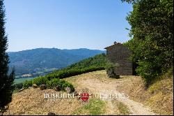 Umbria - COUNTRY HOUSE FOR SALE IN A PANORAMIC POSITION