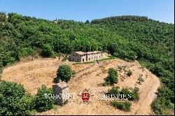 Umbria - COUNTRY HOUSE FOR SALE IN A PANORAMIC POSITION