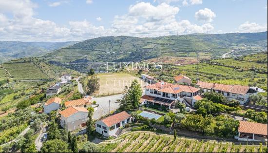 Vineyard, for sale, in Alto Douro Vinhateiro, Douro Valley, Portugal