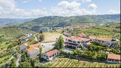 Vineyard, for sale, in Alto Douro Vinhateiro, Douro Valley, Portugal