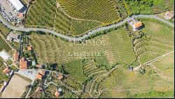 Vineyard, for sale, in Alto Douro Vinhateiro, Douro Valley, Portugal