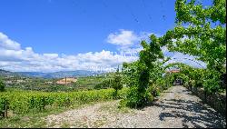 Vineyard, for sale, in Alto Douro Vinhateiro, Douro Valley, Portugal