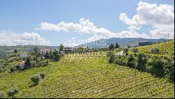 Vineyard, for sale, in Alto Douro Vinhateiro, Douro Valley, Portugal