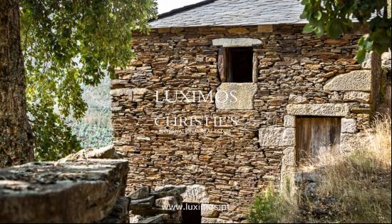 Sale of Village with typical houses, Arouca, Portugal