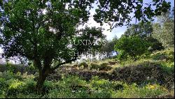 Sale of Village with typical houses, Arouca, Portugal