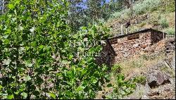 Sale of Village with typical houses, Arouca, Portugal