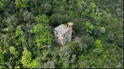 Stone Tower House with farmstead near Perugia - Umbria