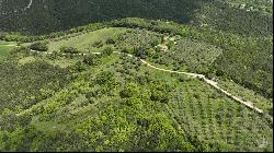 Stone Tower House with farmstead near Perugia - Umbria