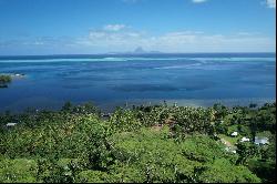 Tahaa - Iripau - 4,6HA Land with views over Bora Bora