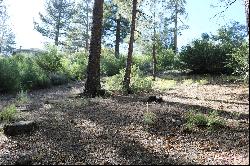 43152 Plymouth Rd, Big Bear Lake, CA 92315