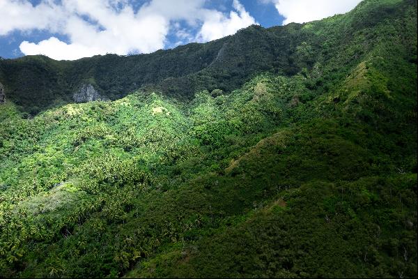 Marquesas Islands - Atuona -  Vast lot of land