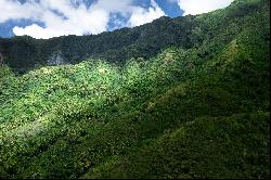 Marquesas Islands - Atuona -  Vast lot of land