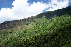 Marquesas Islands - Atuona -  Vast lot of land