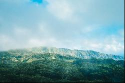 Marquesas Islands - Atuona -  Vast lot of land