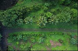 Tahiti - Teahupoo - Amazing plot by the sea