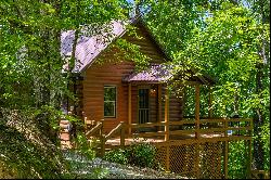 Quaint Spacious Blue Ridge Mountain Retreat