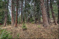 Very Clean Buildable Lot in Truckee, CA