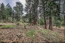 Very Clean Buildable Lot in Truckee, CA