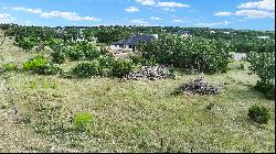 1478 Trailhead, New Braunfels, TX 78132