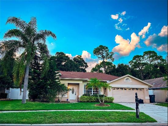 12034 Stone Crossing Circle, Tampa FL 33635