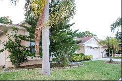 12034 Stone Crossing Circle, Tampa FL 33635