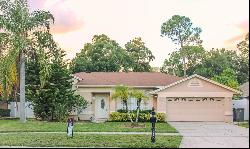 12034 Stone Crossing Circle, Tampa FL 33635