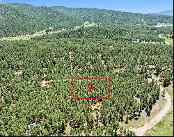 Lot 6 Off Pine Valley Drive, Angel Fire NM 87710