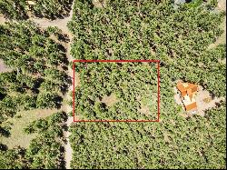 Lot 6 Off Pine Valley Drive, Angel Fire NM 87710