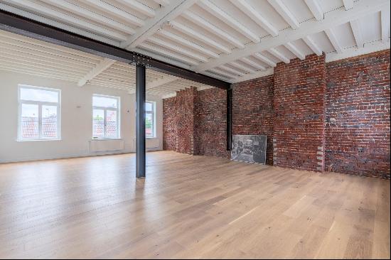 Lille Esquermes, grand loft, 5 chambres