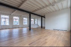 Lille Esquermes, grand loft, 5 chambres