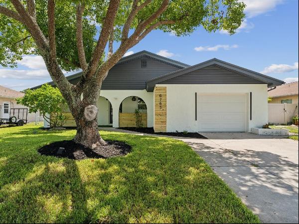 PINELLAS PARK Residential