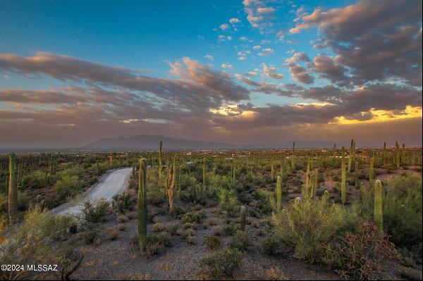 Tucson Land